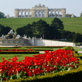 Bild hochgeladen von Zedka