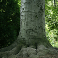 Bild hochgeladen von Pichler