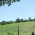 Bild hochgeladen von Hoy