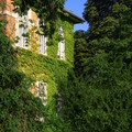 Bild hochgeladen von Hartmann