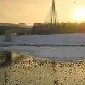 Bild hochgeladen von Kehl-Baierle