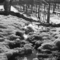Bild hochgeladen von Haschke